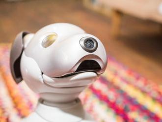 Will the robot dog eat your privacy? With 4 mics and 2 cameras, you should worry     - CNET