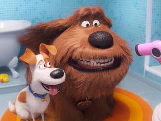 Film Tajný život mazlíčků 2 opět cílí na ty, jimž doma pobíhají psi, kočky a děti