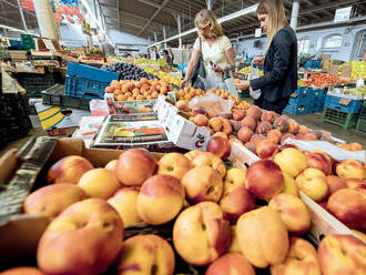 Kvůli jarním mrazům bude o pětinu méně ovoce. Ztráta ovocnářů bude asi 200 milionů korun