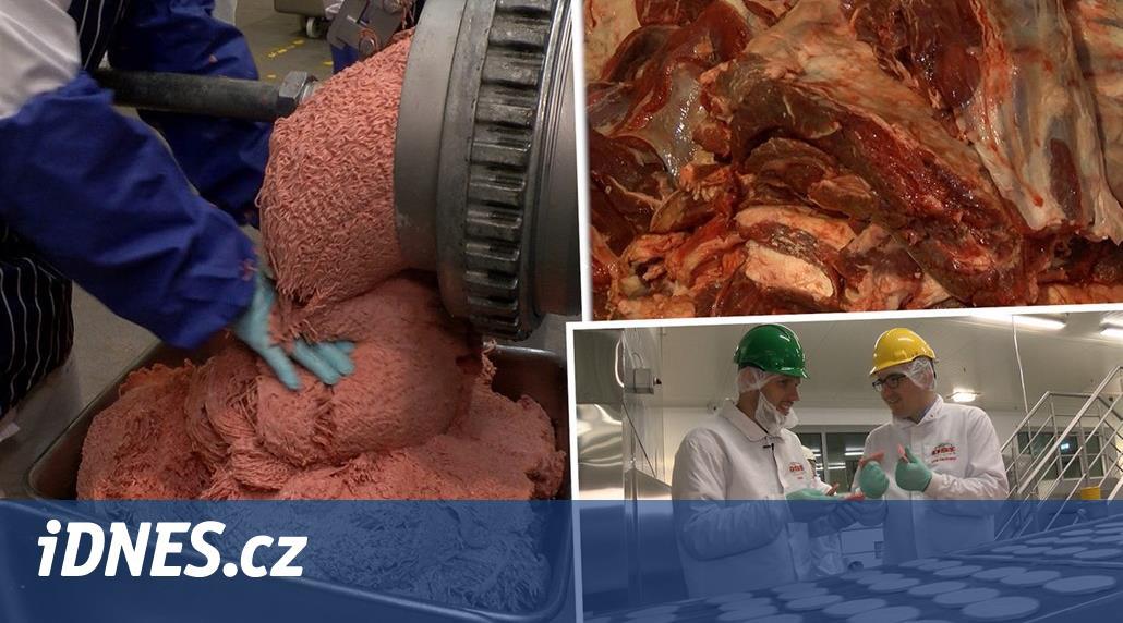 VIDEO: Zásobují české McDonald’s hovězím z Polska. Takto maso vyrábějí