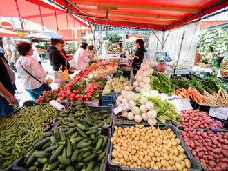 SNS chce nižšiu DPH na ovocie, zeleninu či kyslomliečne produkty