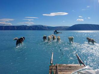 Snímka ťažných psov brodiacich sa vodou ukázala topenie ľadu v Grónsku
