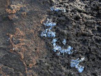 Vedci objavili na Madeire novú formu znečistenia oceánu plastmi