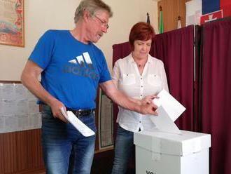 SaS chce umožniť voliť Slovákom na zastupiteľských úradoch
