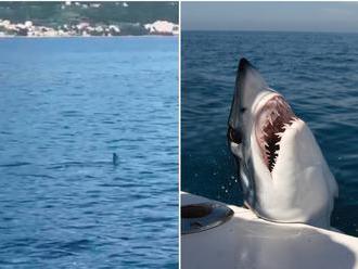 Panika v obľúbenom letovisku: Pri Makarskej nakrútili nebezpečného žraloka!
