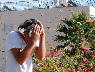 Ďalšia nepríjemná správa pre turistov: Na Sardíniu zaútočili kobylky