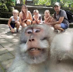 Rodina si po návrate z dovolenky prezrela FOTO: Pozrite na to vulgárne gesto opice!