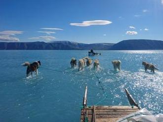 FOTO ukázalo mimoriadne krutú pravdu: Psy v Grónsku namiesto ľadu išli po vode