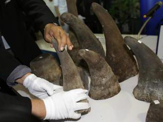 Afričania prepašovali rohy nosorožcov aj tony slonoviny, ukryli ich medzi sošky a masky