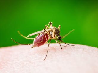 Z obľúbenej turistickej destinácie Slovákov si môžno priniesť vírus, ktorý prenášajú komáre