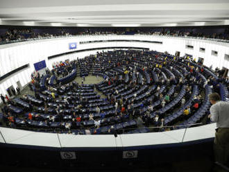 Výbor pro sociální věci v EP povede Slovenka Ďuriš Nicholsonová