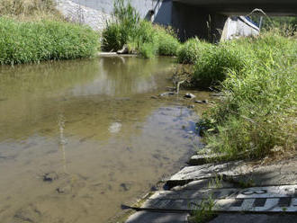 Pro Ústí a Děčín platí kvůli suchu zákaz odběru povrchových vod