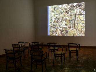 Na výstave v galérii Medium vidieť maľbu aj vo virtuálnej podobe