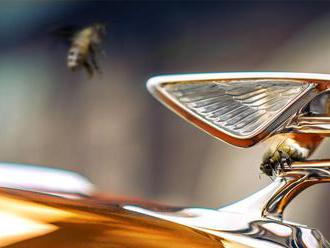 Bentley's latest addition to its Crewe factory? 120,000 bees     - Roadshow