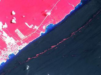 Smelly, slimy seaweed infestation spotted from space     - CNET