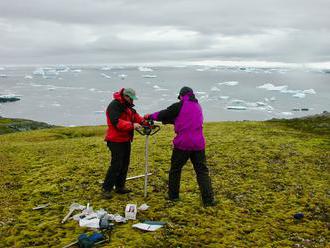 Ledovec na Sibiři ukrýval hlístice živé již 41 tisíc let. Zodpoví životní otázky