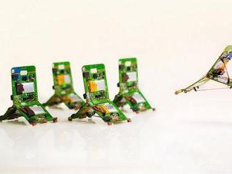 Malí hmyzem inspirovaní roboti