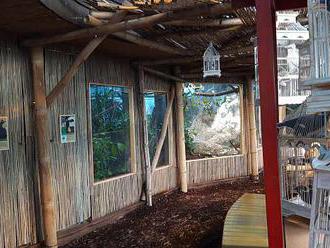 Pavilon tropů v liberecké zoo prošel rekonstrukcí. Nabídne vzácné druhy ptactva
