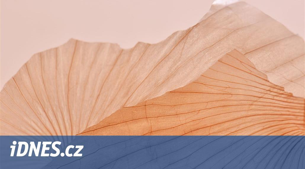 Cibule a česnek. Slavný japonský designér stvořil nový vzhled smartphonů