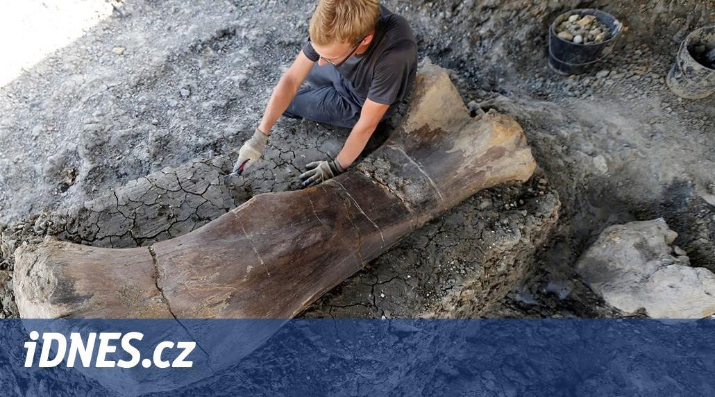 Paleontologové nalezli u města Cognac obrovskou kost z dinosaura