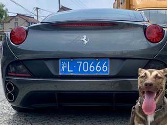 Čínský majitel Ferrari chrání své auto před zloději velmi neobvyklým způsobem