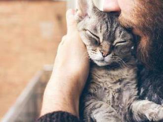 Markéta: Nemáme děti, tak manžel přehání péči o naše kočky