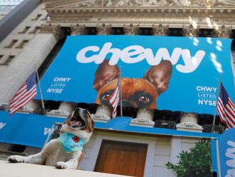 Earnings Watch: Online pet store Chewy slightly misses first earnings after IPO