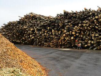 Čína skupuje české drevo. Ponúka dobrú cenu a na kvalitu sa nepozerá