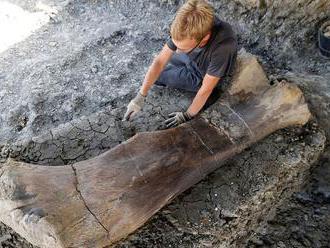 Francúzski vedci objavili gigantickú dinosauriu kosť