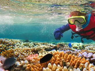 Vyššie teploty vody zabili až tretinu koralového útesu ostrova Guam