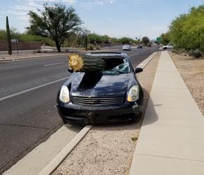 FOTO Vodič   v plnej rýchlosti vpálil do kaktusu, takto tragikomicky dopadol