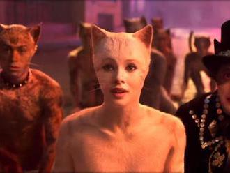Muzikál Cats ožije vo filmovej podobe: Hlavnú úlohu obsadia celebrity na čele s Taylor Swift