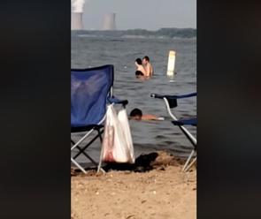 VIDEO Otec sa bol s deťmi kúpať pri jazere, keď si vo vode všimol dvojicu: Veď oni tam...!