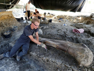 Vedci objavili gigantickú kosť: Patrila monštru, ktoré žilo pred 140 miliónmi rokov