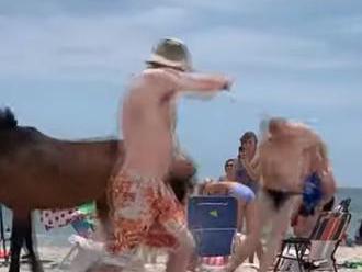 VIDEO Turista chcel na pláži pohladkať koňa: Veľmi zlý nápad, kopol ho priamo TAM!