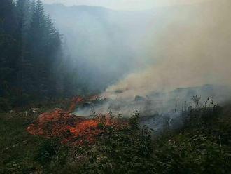 Les na Orave postihol požiar, zasiahnuť museli profesionáli aj dobrovoľníci z viacerých staníc