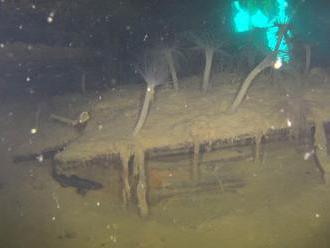 Remarkable footage reveals 'frozen in time' shipwreck of lost Arctic expedition     - CNET