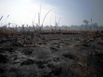 Amazon rainforest fires: Everything we know and how you can help     - CNET