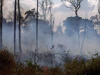 Amazon rainforest fires: How to spot inaccurate photos on social media     - CNET