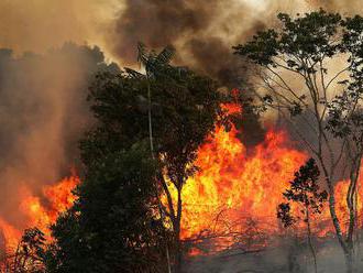 A brazil elnök nem nagyon szeretné, ha eloltanák a lángoló Amazóniát