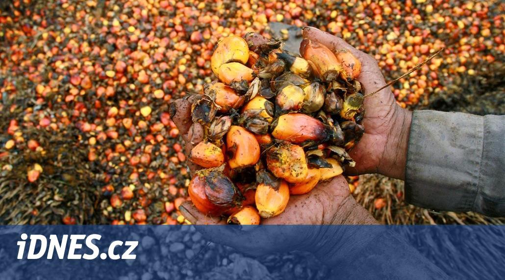 Indonésie a Malajsie brání pověst palmového oleje. Může dojít i na soud s EU