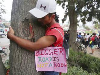 V Nepále chcú vyrúbať tisíce stromov pre rozšírenie cesty, demonštranti žiadajú iné riešenie