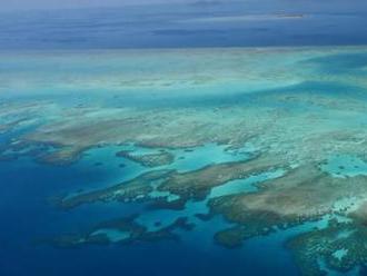 Video: Vyhliadky pre Veľkú koralovú bariéru sú veľmi zlé, najviac ju ohrozuje globálne otepľovanie