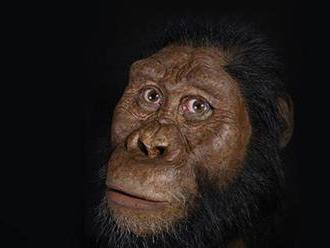 Vedci objavili a zrekonštruovali tvár predchodcu človeka starú 3,8 milióna rokov