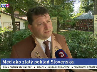 Štúdio TA3: Predseda Slovenského zväzu včelárov M. Rusnák o mede