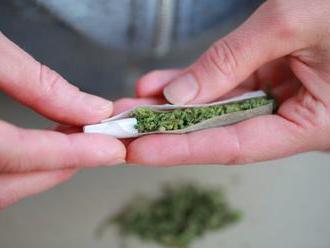 Colníci v USA s poriadnym úlovkom: Skonfiškovali vyše tri tony marihuany