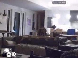 VIDEO Kamaráti pozerali v noci televízor: Zrazu zmeraveli od hrôzy, keď do obývačky vstúpil...
