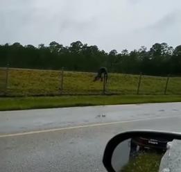 VIDEO Mama so synom sa viezla v aute, pohľad vľavo ju dorazil: Pozrite na ten plot!