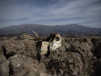 Čile sužuje najhoršie sucho za uplynulé dekády, vláda vyhlásila poľnohospodársku krízu