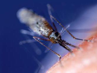 Keňa začala testovať prvú vakcínu proti malárii